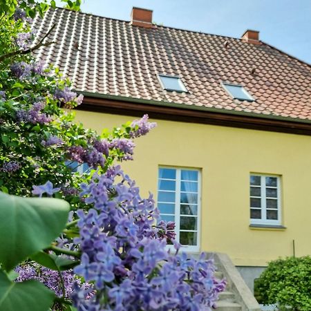 Gutshaus Neu Necheln Lägenhet Bruel Exteriör bild