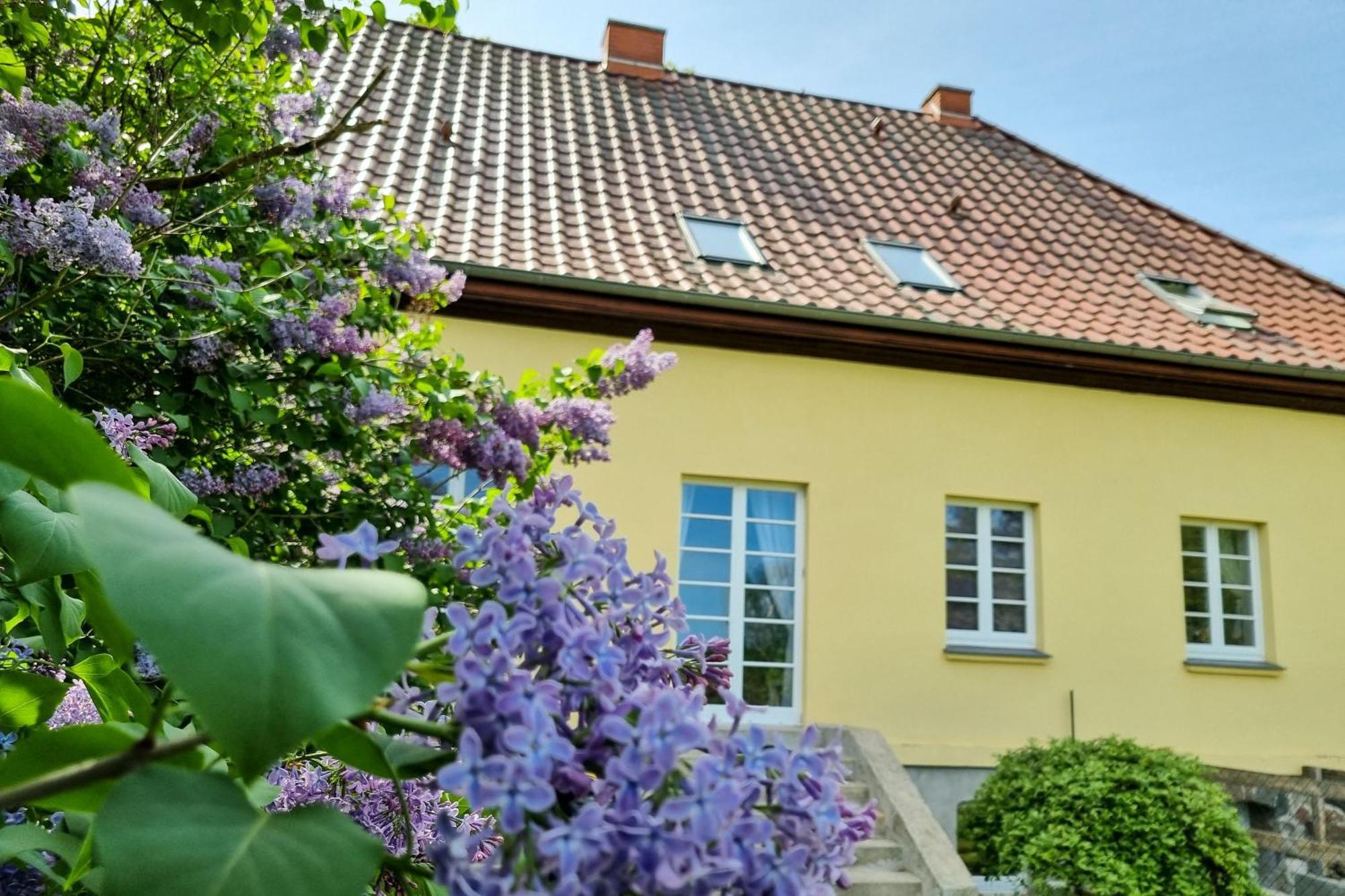 Gutshaus Neu Necheln Lägenhet Bruel Exteriör bild
